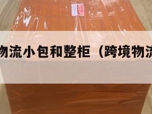 跨境电商物流小包和整柜（跨境物流小包有哪些）