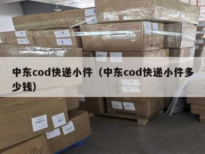 中东cod快递小件（中东cod快递小件多少钱）