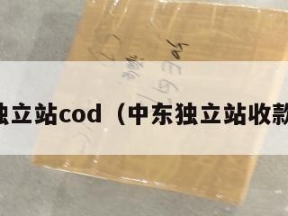 中东独立站cod（中东独立站收款方式）