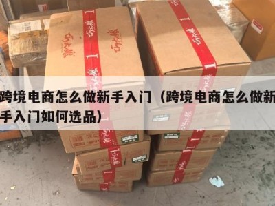 跨境电商怎么做新手入门（跨境电商怎么做新手入门如何选品）