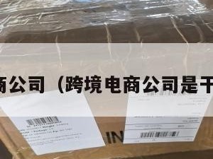 跨境电商公司（跨境电商公司是干什么的）