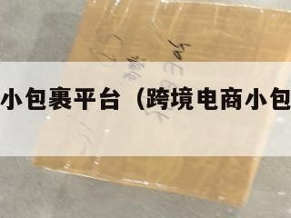 跨境电商小包裹平台（跨境电商小包是什么意思）