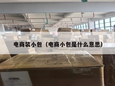 电商装小包（电商小包是什么意思）