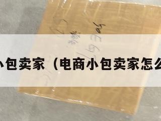 电商小包卖家（电商小包卖家怎么入驻）