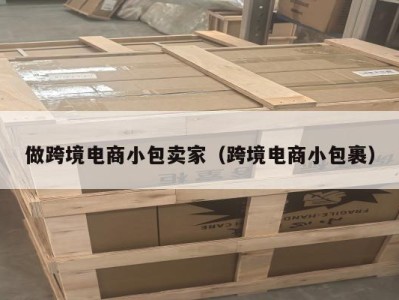 做跨境电商小包卖家（跨境电商小包裹）