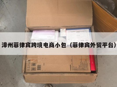 漳州菲律宾跨境电商小包（菲律宾外贸平台）