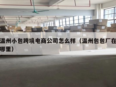 温州小包跨境电商公司怎么样（温州包包厂在哪里）