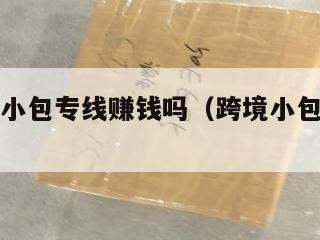 跨境电商小包专线赚钱吗（跨境小包解决方案）