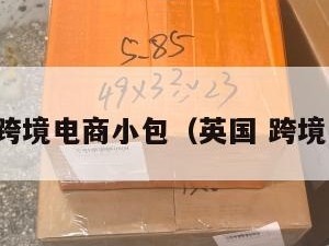 英国跨境电商小包（英国 跨境电商）