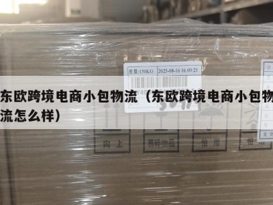 东欧跨境电商小包物流（东欧跨境电商小包物流怎么样）