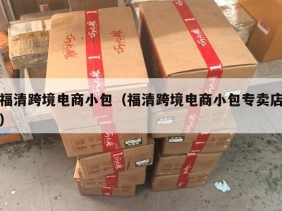 福清跨境电商小包（福清跨境电商小包专卖店）
