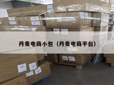 丹麦电商小包（丹麦电商平台）