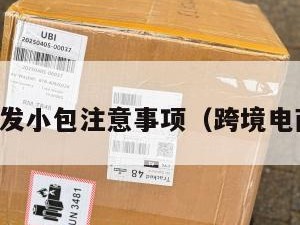 跨境电商发小包注意事项（跨境电商小包裹）