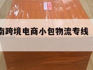 蚌埠发越南跨境电商小包物流专线（蚌埠跨越速运电话）