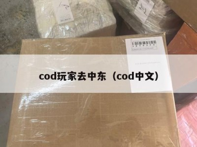 cod玩家去中东（cod中文）
