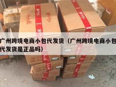 广州跨境电商小包代发货（广州跨境电商小包代发货是正品吗）
