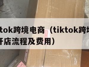 tiktok跨境电商（tiktok跨境电商开店流程及费用）