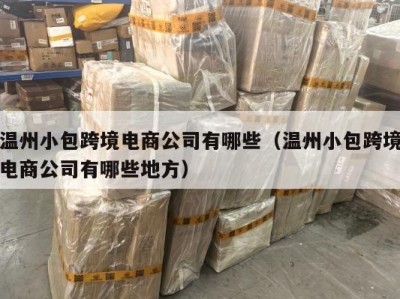 温州小包跨境电商公司有哪些（温州小包跨境电商公司有哪些地方）