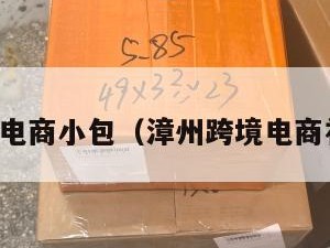漳州跨境电商小包（漳州跨境电商补贴政策）