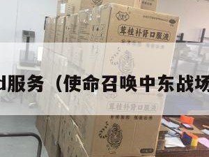 中东cod服务（使命召唤中东战场哪一部）