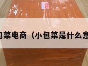小包菜电商（小包菜是什么意思）