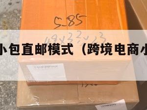 跨境电商小包直邮模式（跨境电商小包寄递特点）