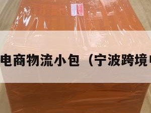 宁波跨境电商物流小包（宁波跨境电商货代）