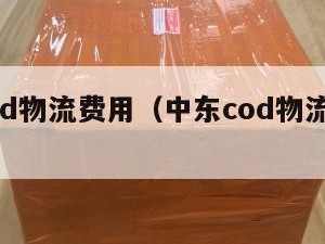 中东cod物流费用（中东cod物流费用多少）