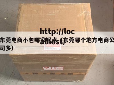 东莞电商小包哪家好点（东莞哪个地方电商公司多）