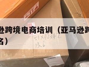 连连亚马逊跨境电商培训（亚马逊跨境电商培训机构排名）
