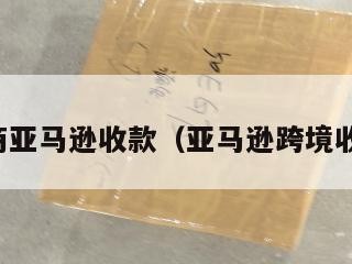 跨境电商亚马逊收款（亚马逊跨境收款服务）
