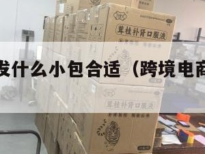 跨境电商发什么小包合适（跨境电商发什么快递好）