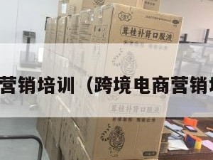 跨境电商营销培训（跨境电商营销培训跨境）