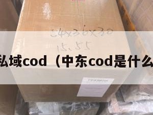 中东私域cod（中东cod是什么意思）