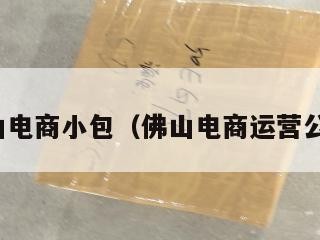 佛山电商小包（佛山电商运营公司）