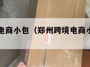 郑州跨境电商小包（郑州跨境电商小包物流公司）
