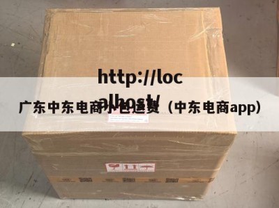 广东中东电商小包运费（中东电商app）