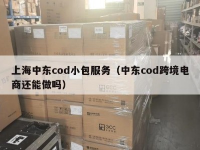 上海中东cod小包服务（中东cod跨境电商还能做吗）
