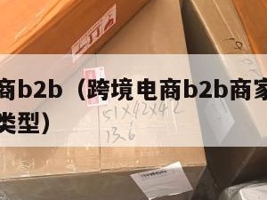 跨境电商b2b（跨境电商b2b商家主要有哪几种类型）