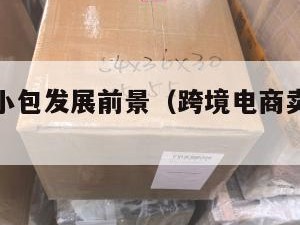 跨境电商小包发展前景（跨境电商卖包包怎么样）