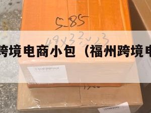 福州纽约跨境电商小包（福州跨境电商怎么样）
