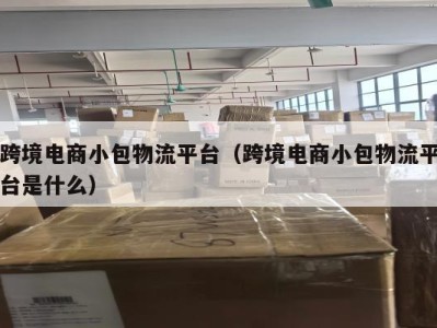 跨境电商小包物流平台（跨境电商小包物流平台是什么）