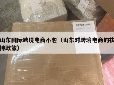 山东国际跨境电商小包（山东对跨境电商的扶持政策）
