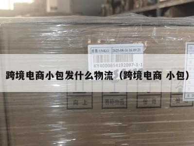 跨境电商小包发什么物流（跨境电商 小包）