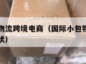 国际小包物流跨境电商（国际小包物流跨境电商发展现状）