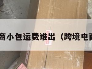 跨境电商小包运费谁出（跨境电商 小包）