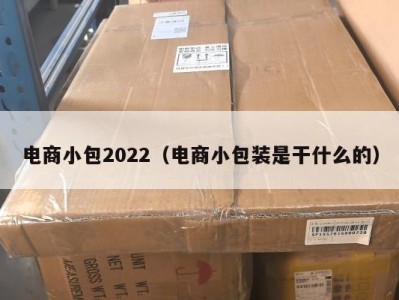 电商小包2022（电商小包装是干什么的）
