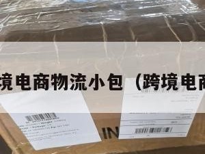 广州跨境电商物流小包（跨境电商 广州）