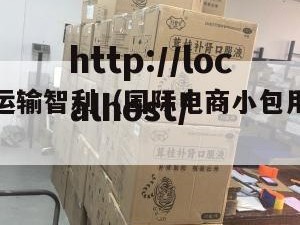 电商小包运输智利（国际电商小包用什么物流）