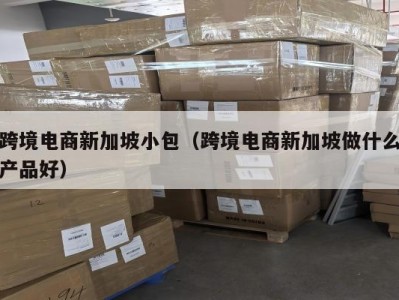 跨境电商新加坡小包（跨境电商新加坡做什么产品好）